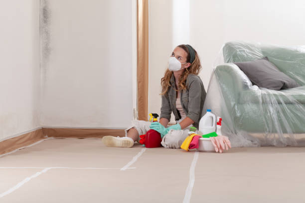 Reliable Black Mold Removal contractor in North Arlington, NJ by WQB Mold Removal